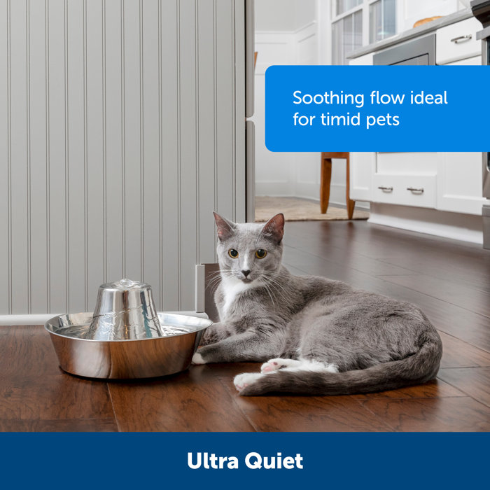 PetSafe® Seaside Stainless Pet Fountain & Reviews Wayfair